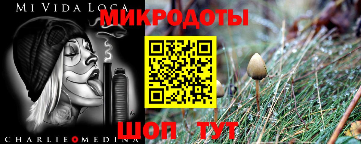 Псилоцибиновые грибы MAGIC MUSHROOMS  Вход с VPN  Псилоцибиновые грибы GOLDEN TEACHER  Котовск 
