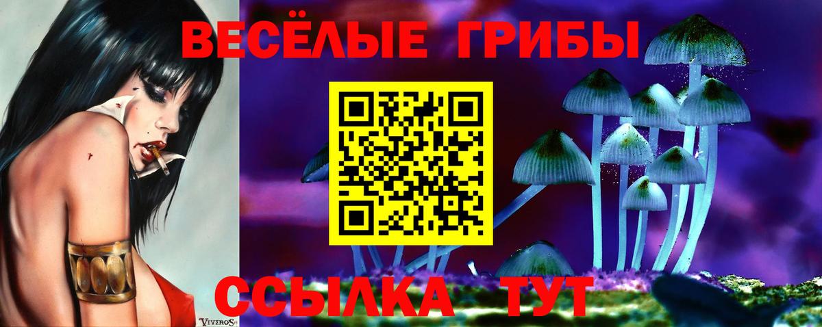 Псилоцибиновые грибы MAGIC MUSHROOMS Котовск